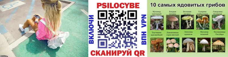 Галлюциногенные грибы Psilocybe  Нерехта 